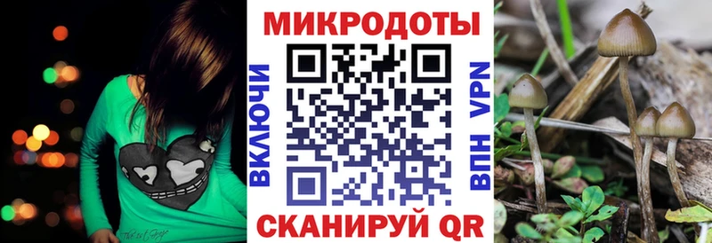 Купить  Ленск  Псилоцибиновые грибы Psilocybe 